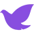 icon2